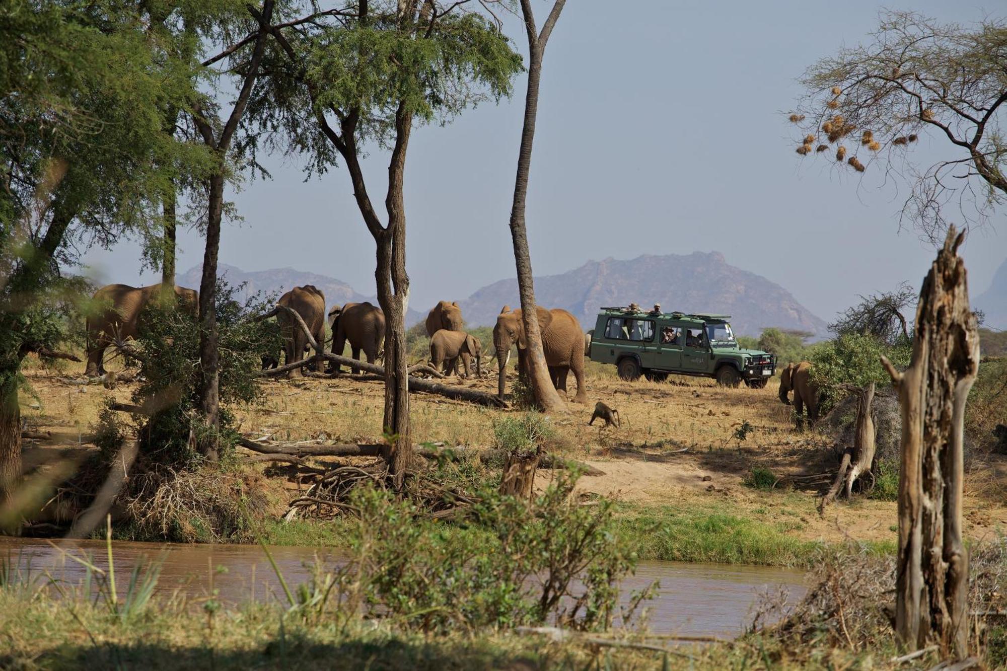 Ashnil Samburu Camp Villa Archers Post Eksteriør billede