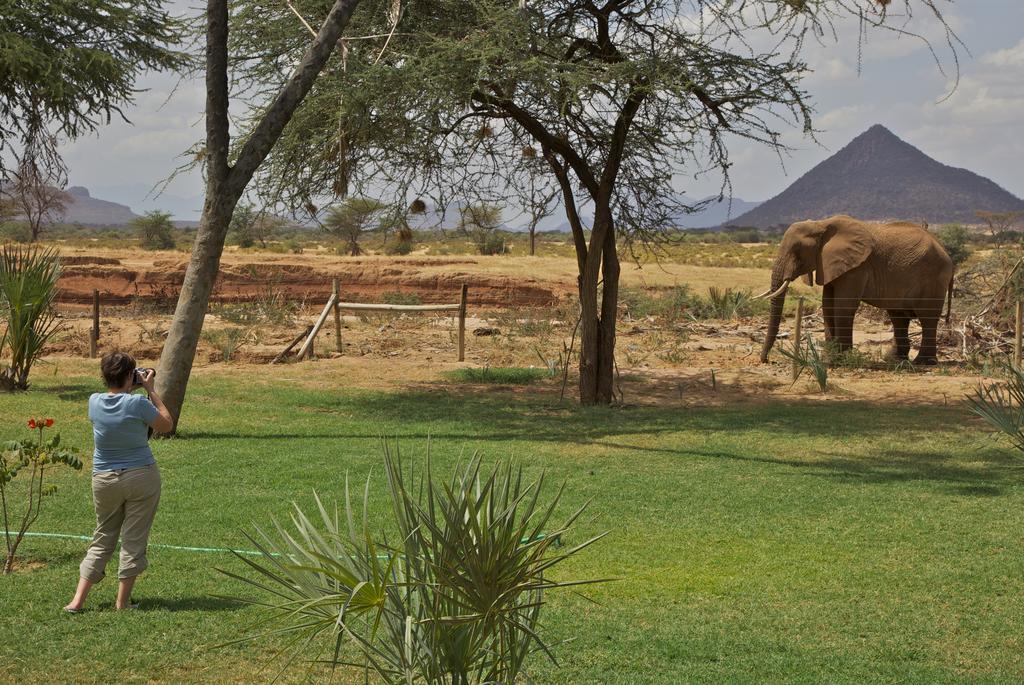 Ashnil Samburu Camp Villa Archers Post Eksteriør billede