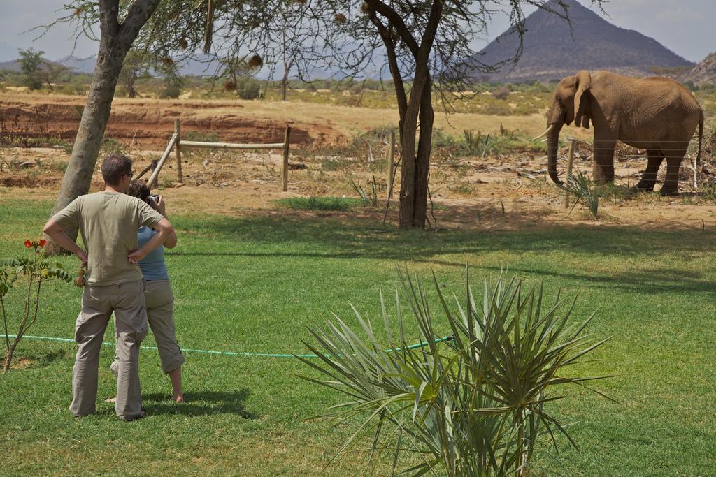 Ashnil Samburu Camp Villa Archers Post Eksteriør billede