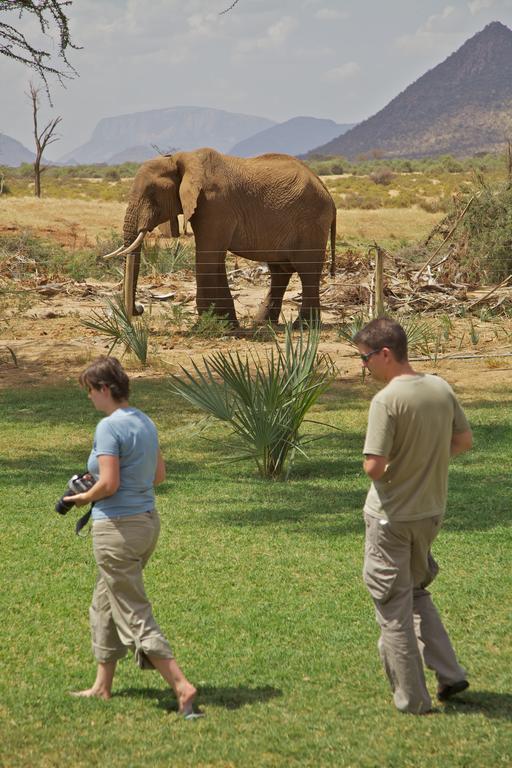 Ashnil Samburu Camp Villa Archers Post Eksteriør billede