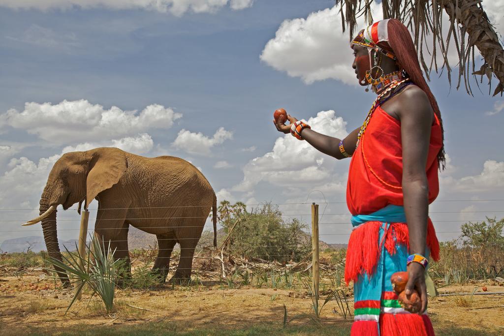 Ashnil Samburu Camp Villa Archers Post Eksteriør billede